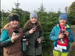 Nasza choinka już gotowa