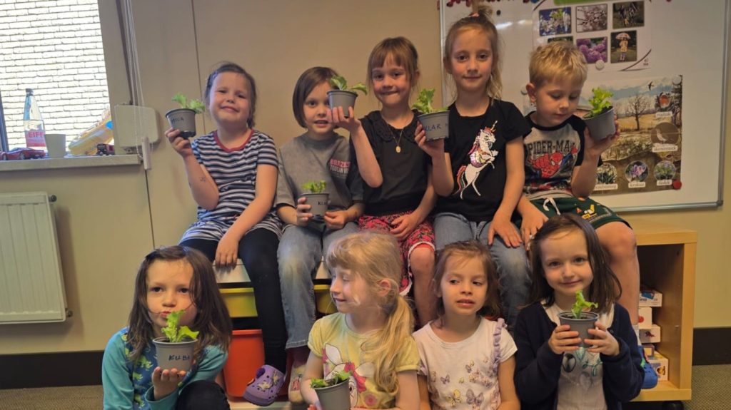 Wiosenne sadzenie sałaty przez dzieci z naszego oddziału przedszkolnego