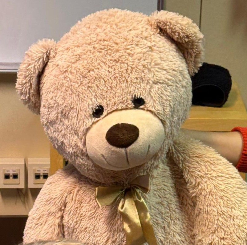 Dzień Pluszowego Misia